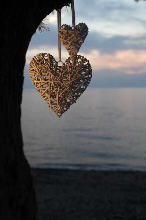 Aphrodite Hotel — Beach in Mithimna, North Aegean