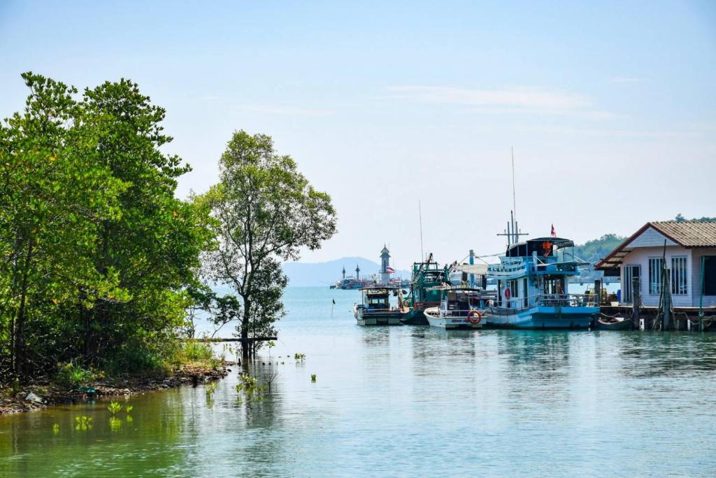 Surrounding environment