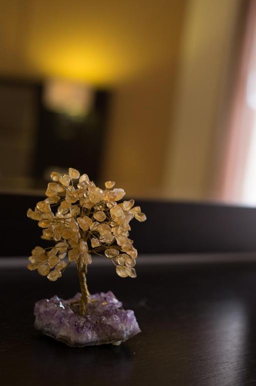 Aphrodite Hotel — Restaurant & bars in Mithimna, North Aegean