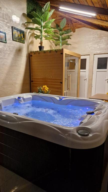 Villa, Vikendica - Sunny Hill - jacuzzi, sauna - 4