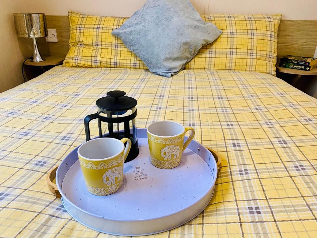 TEIGNBRIDGE - Delightful caravan on a peaceful caravan park in Dawlish Warren, Dawlish Warren