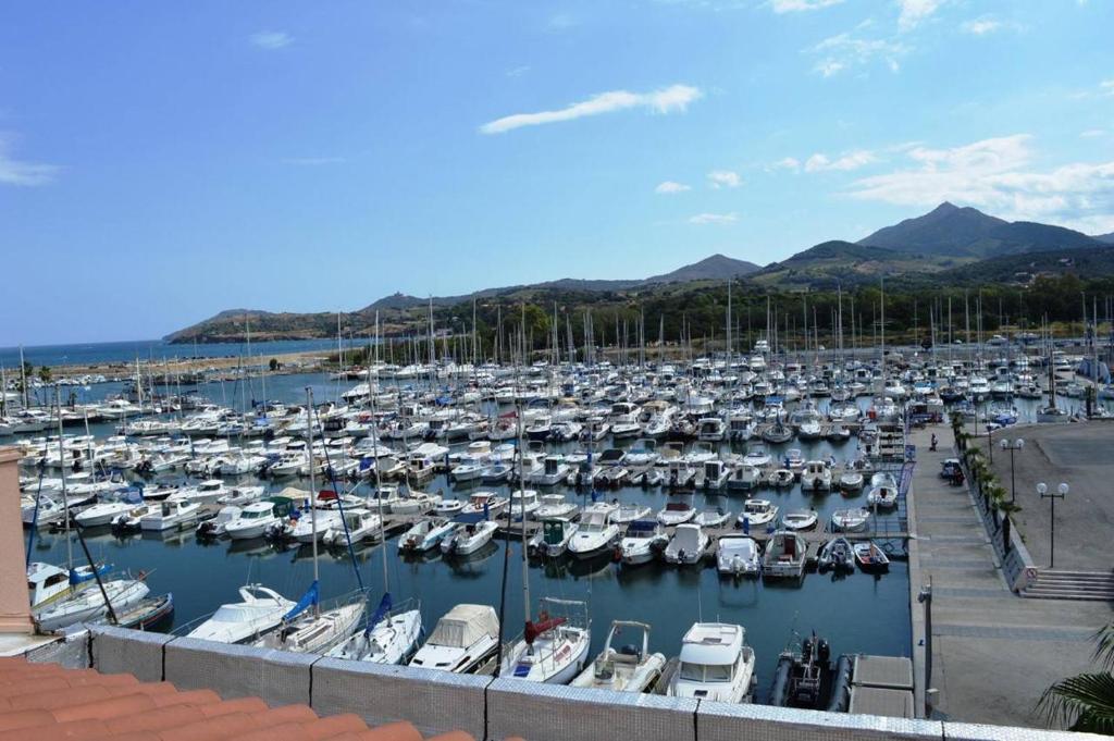 Appartement 4 pièces 5 couchages ARGELES SUR MER AR290-303 - 1