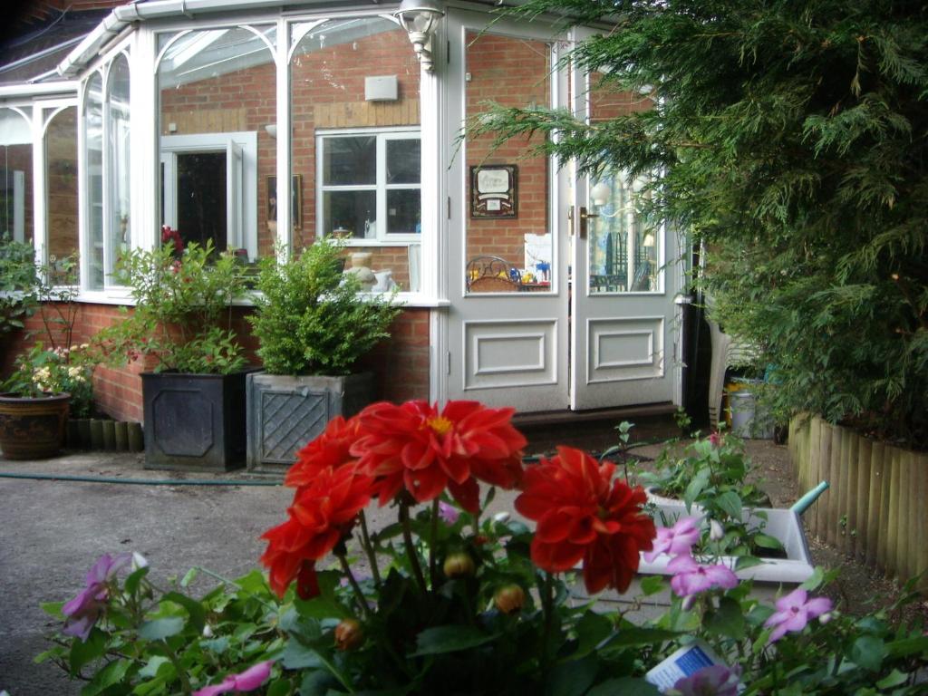 confortable, Watford