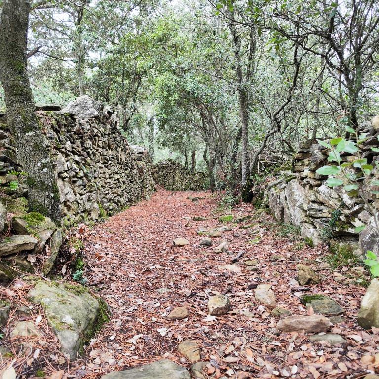 Els Sifons, Castelltersol