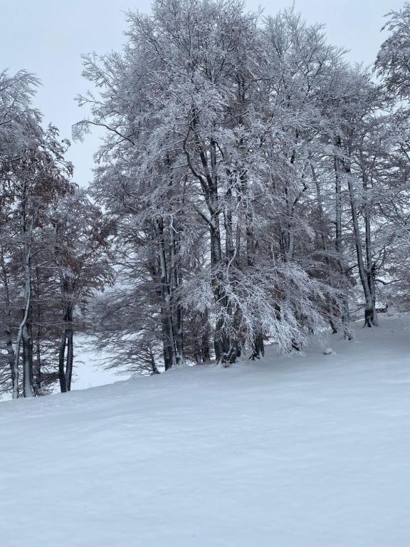 Vikendica Aleksandra - 5