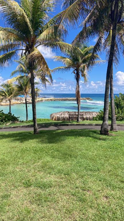 Le Catelya - Résidence Manganao, Saint-François