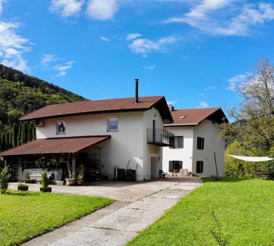 Hisa Pelance, Tolmin