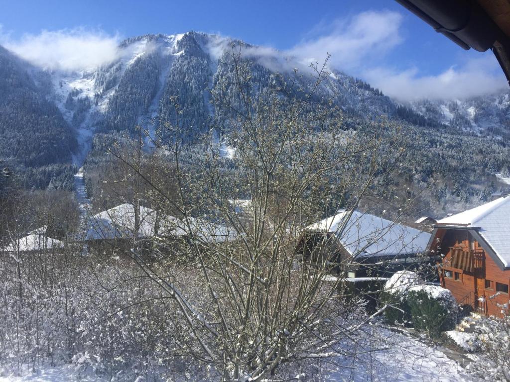 chalet haute-savoie - 1