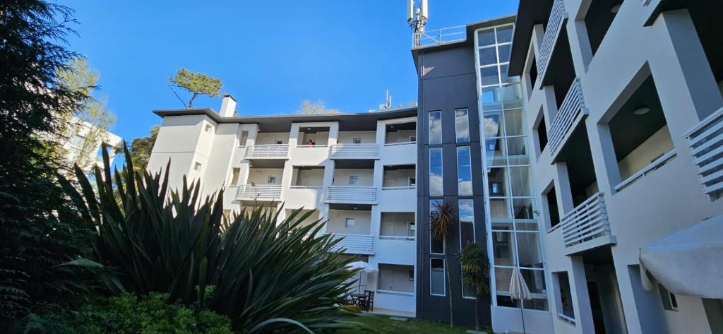 Avutarda de Carilo, Carilo