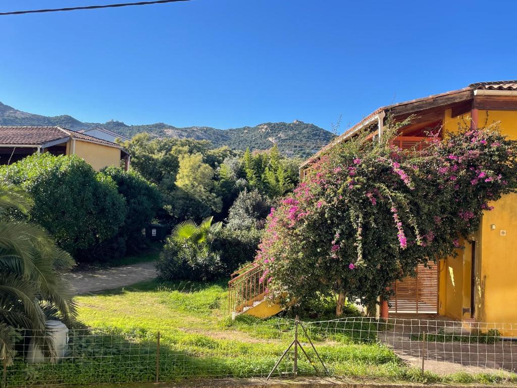 Studio Paradis à Calvi Parking privé en option - GR20 Télétravail - 4
