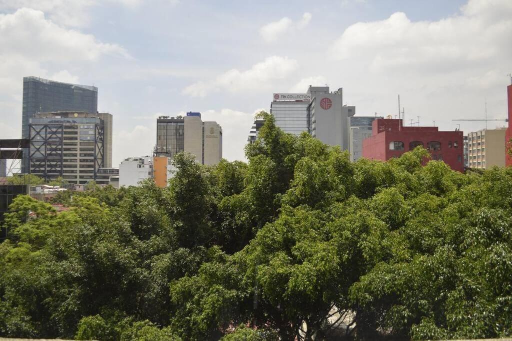 Zona Rosa Apartment Angel of Independence 1 Block in CDMX - 5