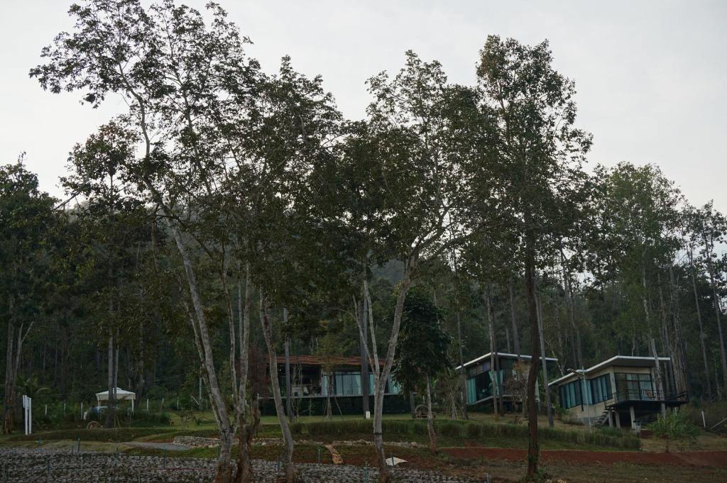 Surrounding environment