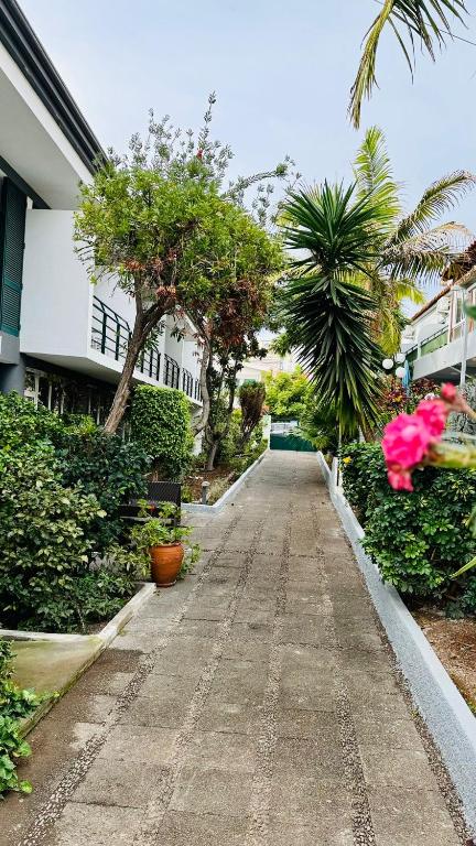 Monte Verde, Funchal