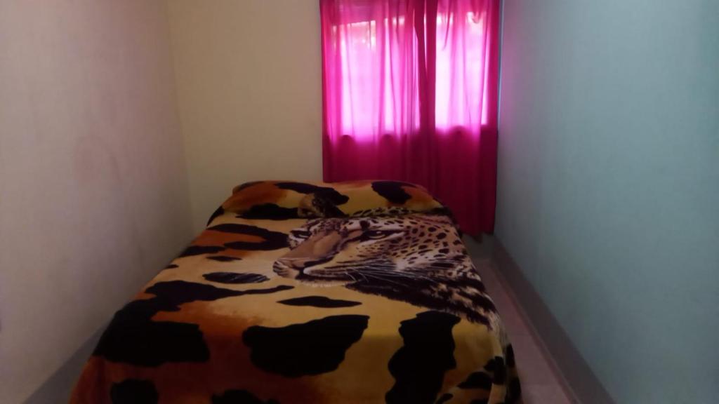Casa Brou - 5