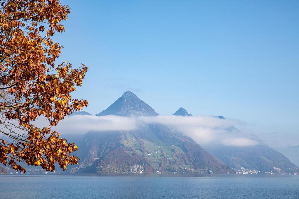 ทัศนียภาพ