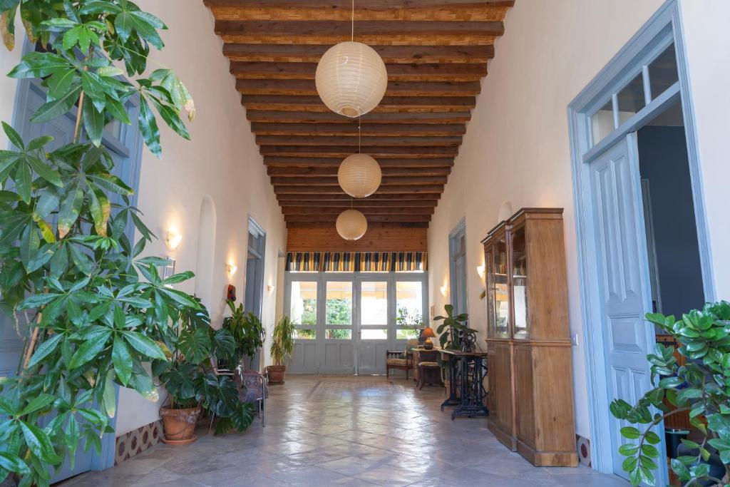 ANANKE Home, Nikósie