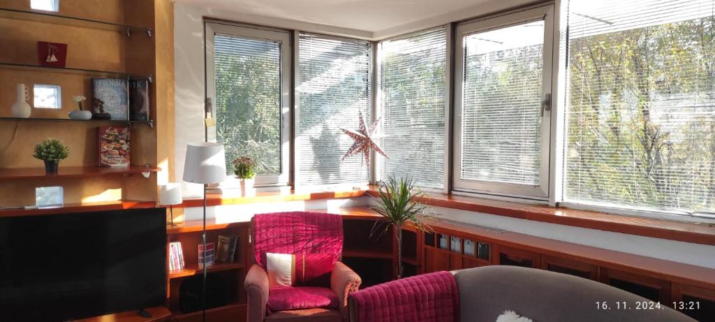 Arena Belgrade 2 - 3