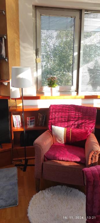 Arena Belgrade 2 - 5