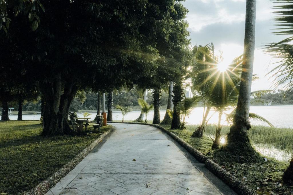 Surrounding environment