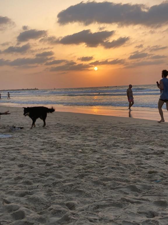 Charming studio apartment in Tel Aviv, Tel Aviv