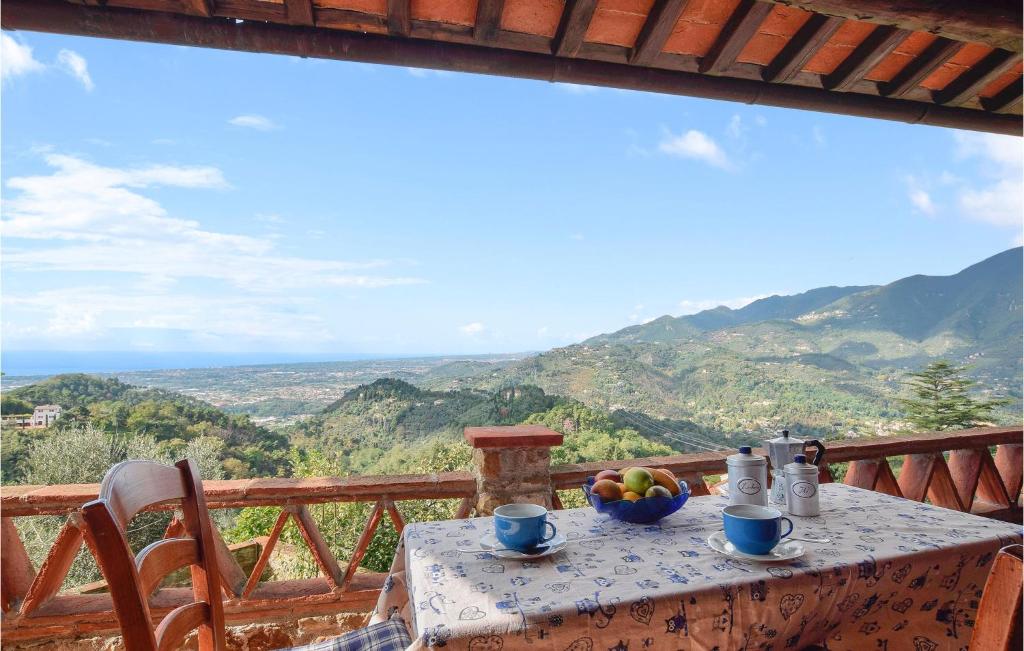 Rustico Antonella, Camaiore