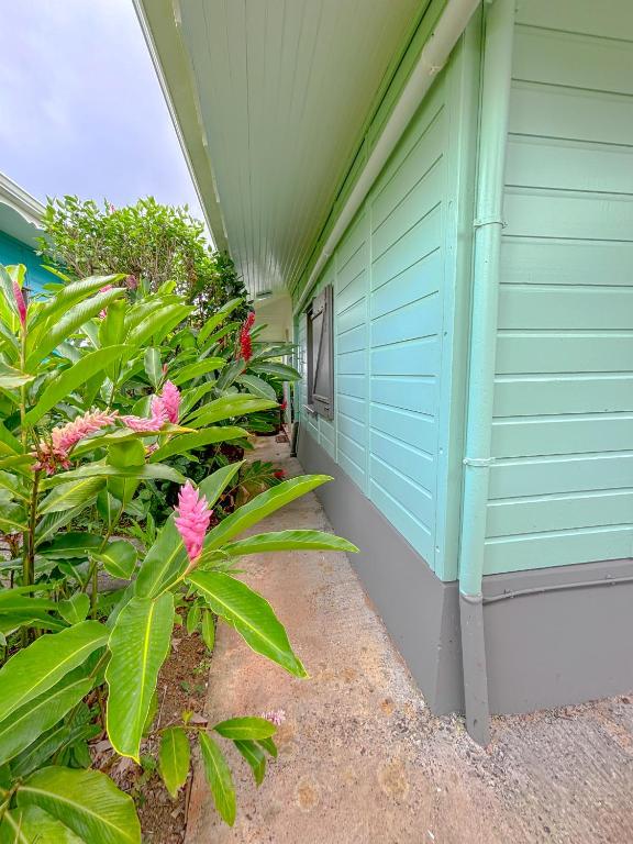 Bwa Lélé, Sainte-Luce