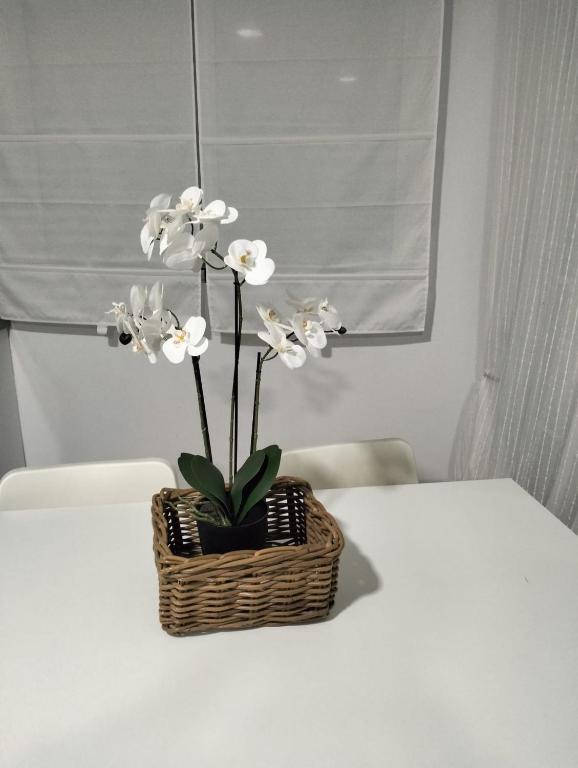 Alojamiento las Dunas alto, Tabernas