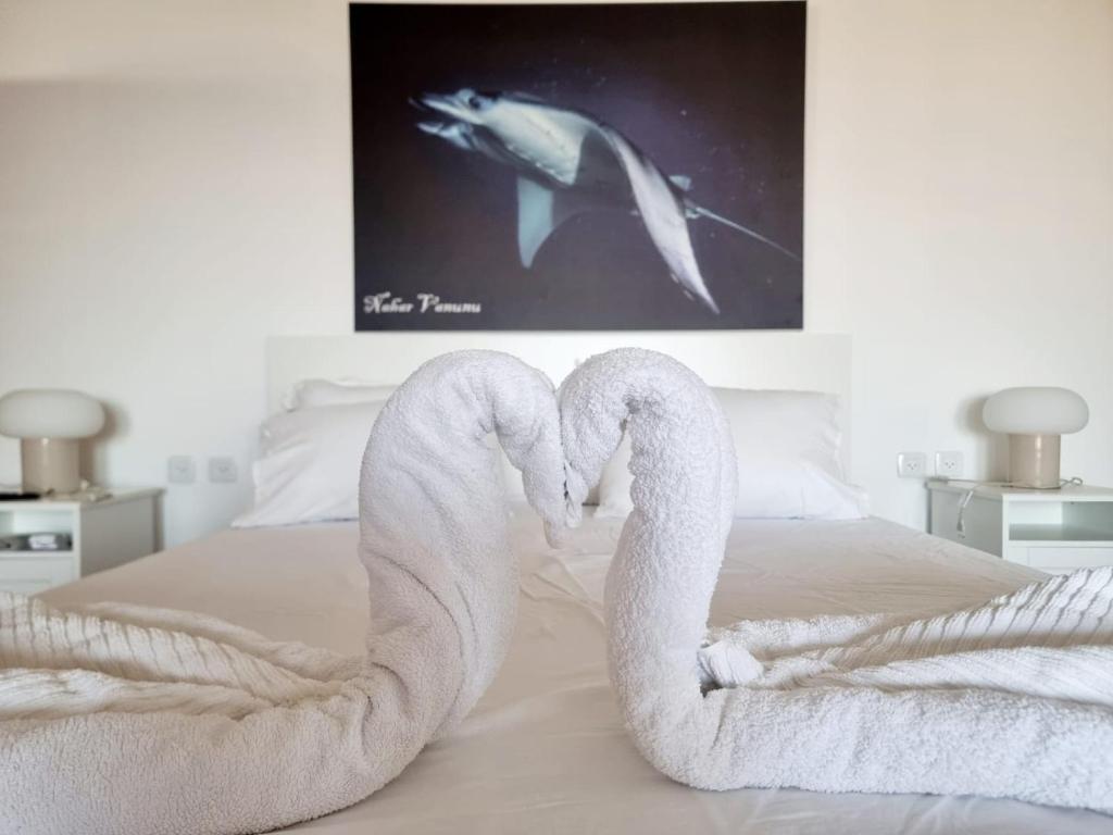 Desert sunsets, Arad