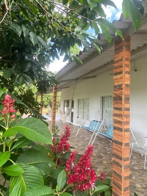 Finca Villa Rosita Guamal - Meta - 2