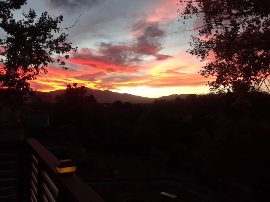 Whimsical Wonder, Colorado Springs