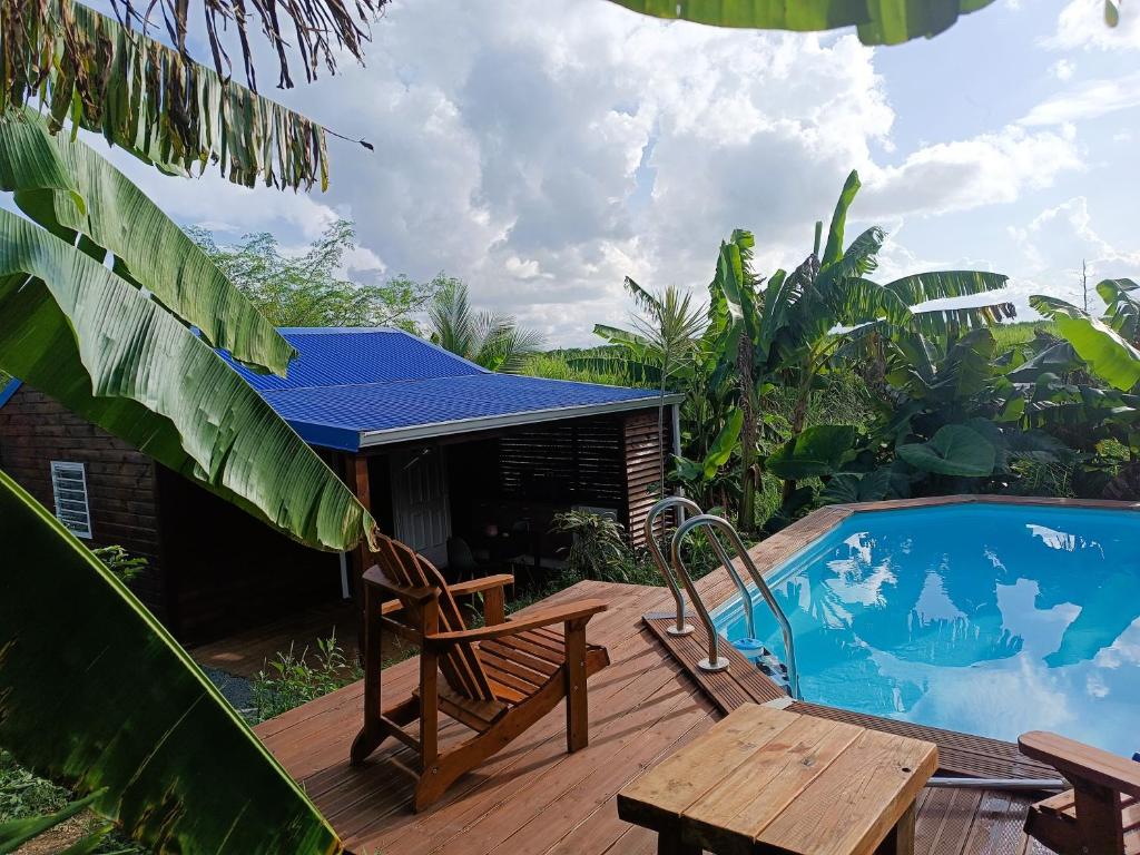 Le Paradis des Colibris Gîte créole avec piscine table dhôtes et nature à Anse Bertrand, Anse-Bertrand