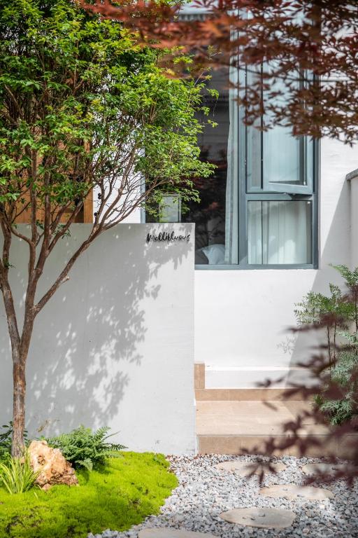 Shan Di B&B, Li-ťiang