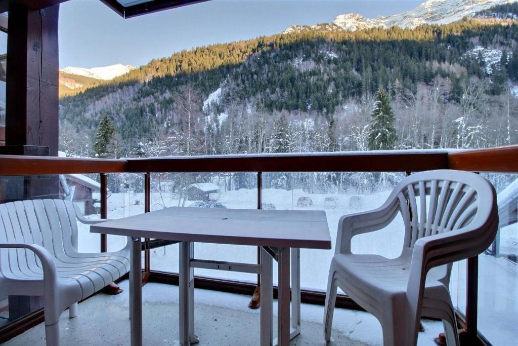 Appartement vue montagne proximité ski et parcours TMB - 3