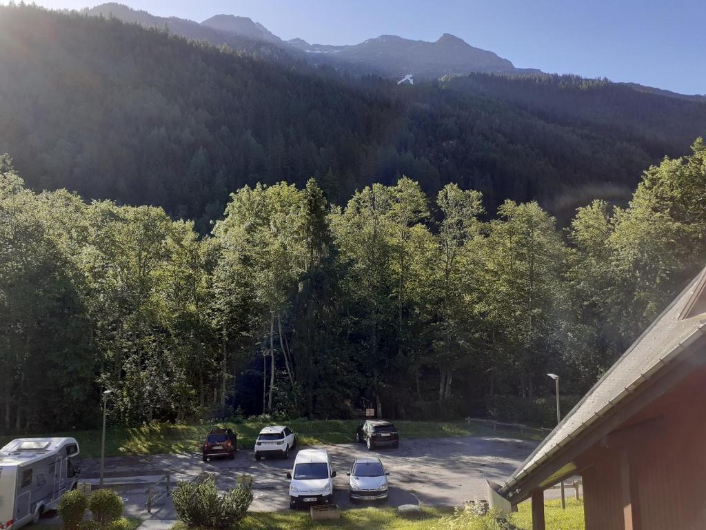 Appartement vue montagne proximité ski et parcours TMB - 2