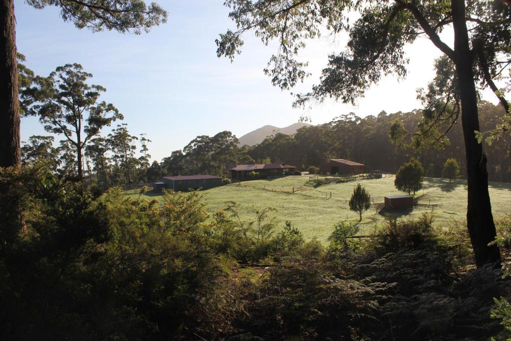 Eagle's Roost Farmstay B&B photo