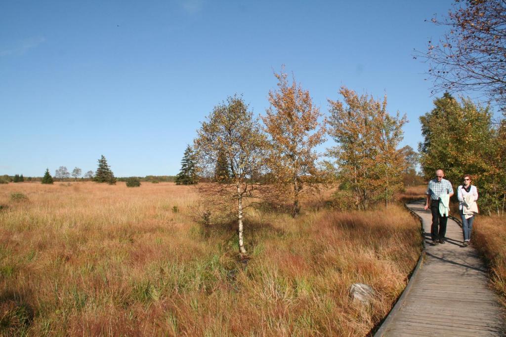 ibis budget Aachen Raeren Grenze Photo 48