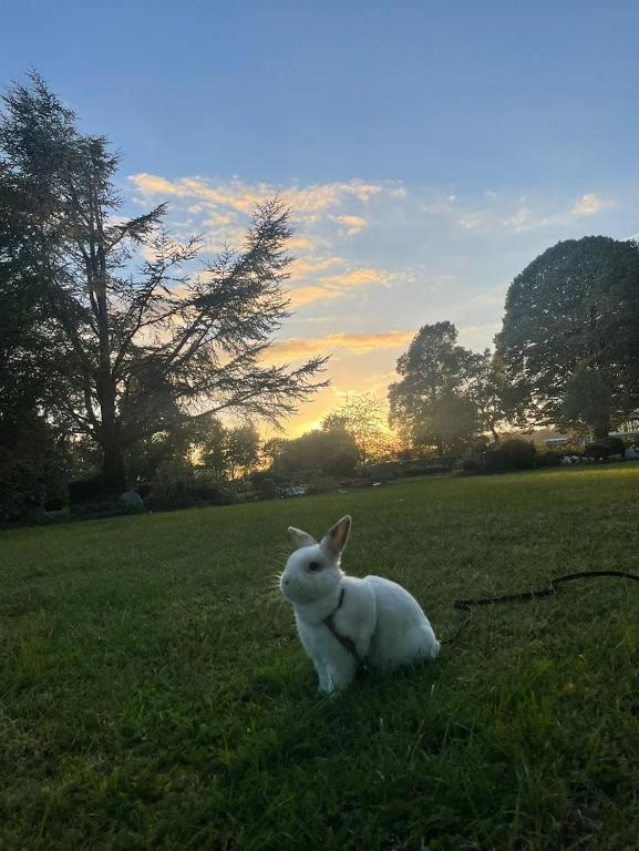 Stadtmitte-Iserlohn, Iserlohn