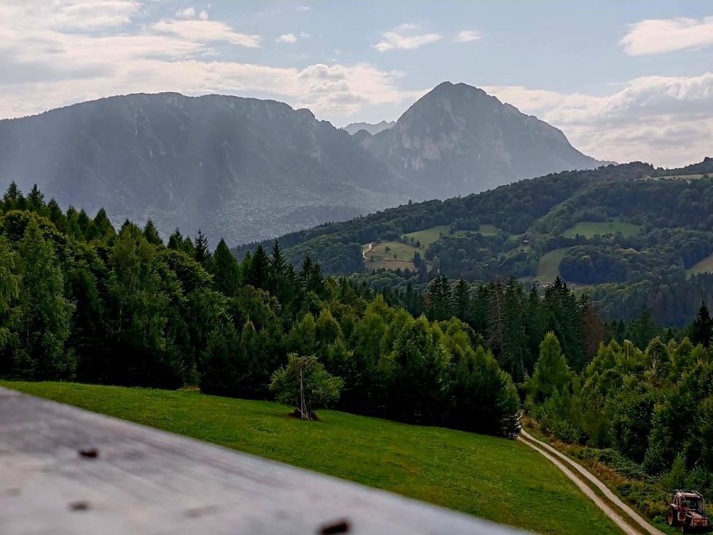 Pensiunea BriAdda, Poiana Mărului