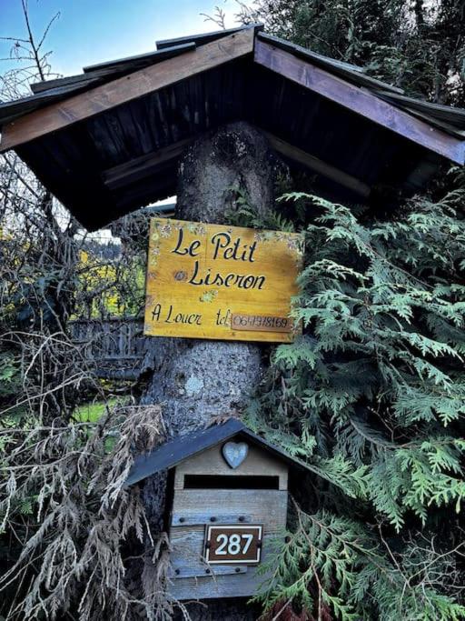 Le Petit Liseron - 2