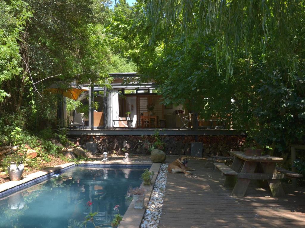 Glasshouse In The Winelands photo
