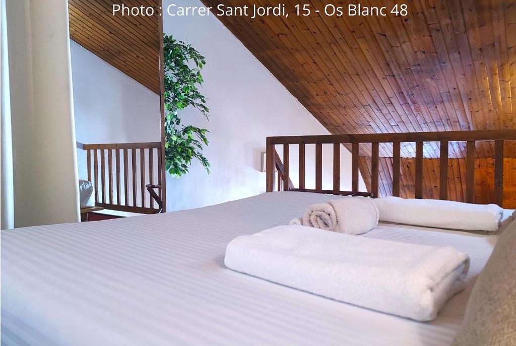 Duplex Holidays Andorra - 4