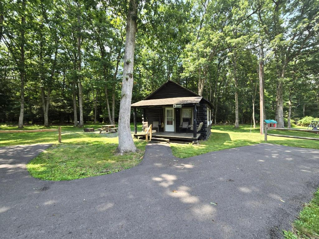 Swallow Falls Cabin 2, Oakland