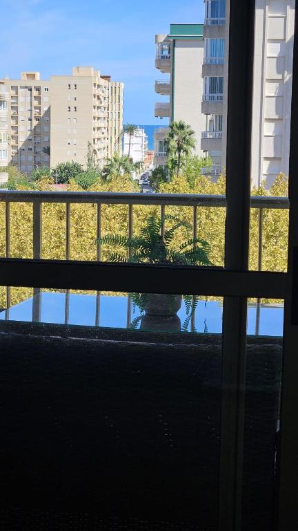 Elegante apartamento en Playa de Gandía - 3