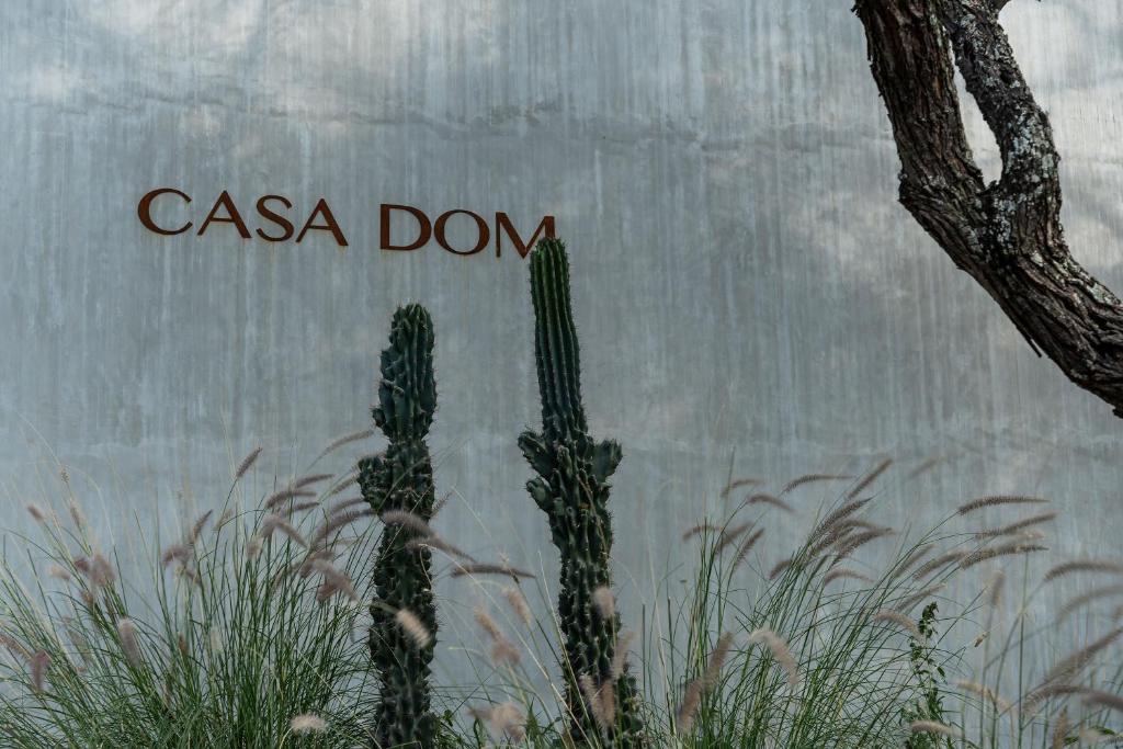 CASA DOM, Tranquil Retreat in San Miguel de Allende - 3