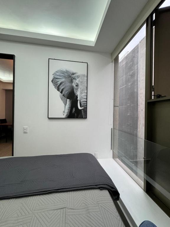 Departamento Elefante - 2