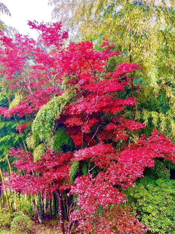 สภาพแวดล้อมโดยรอบ