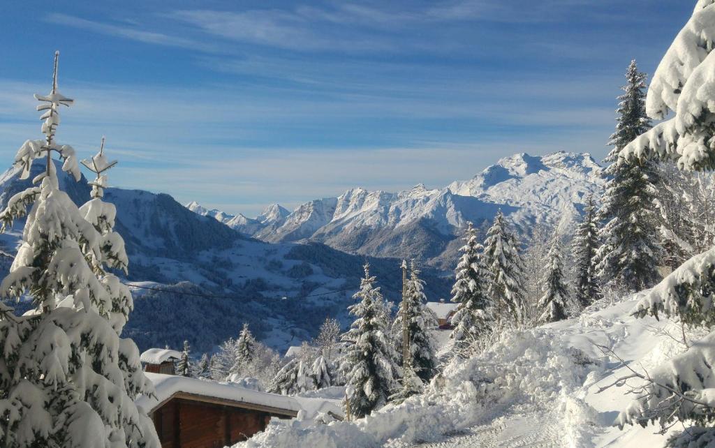 CHALET SPA BELLE VUE 500 m des pistes - 3