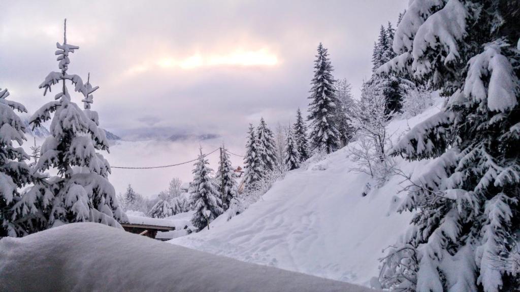 CHALET SPA BELLE VUE 500 m des pistes - 4