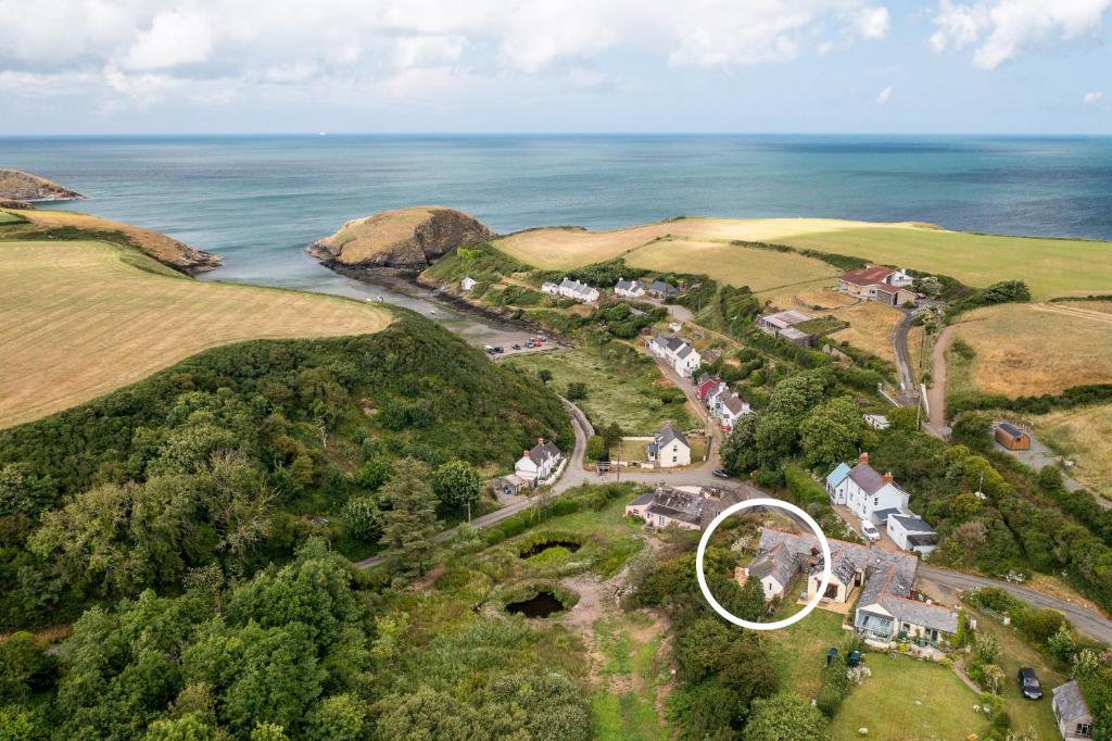 Ffesant, Haverfordwest