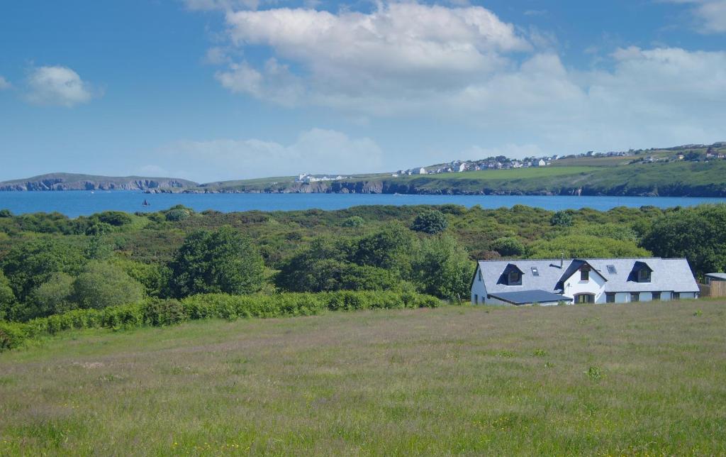 The Alders, Cardigan